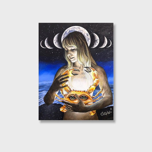 Shelter (Cancer Zodiac)