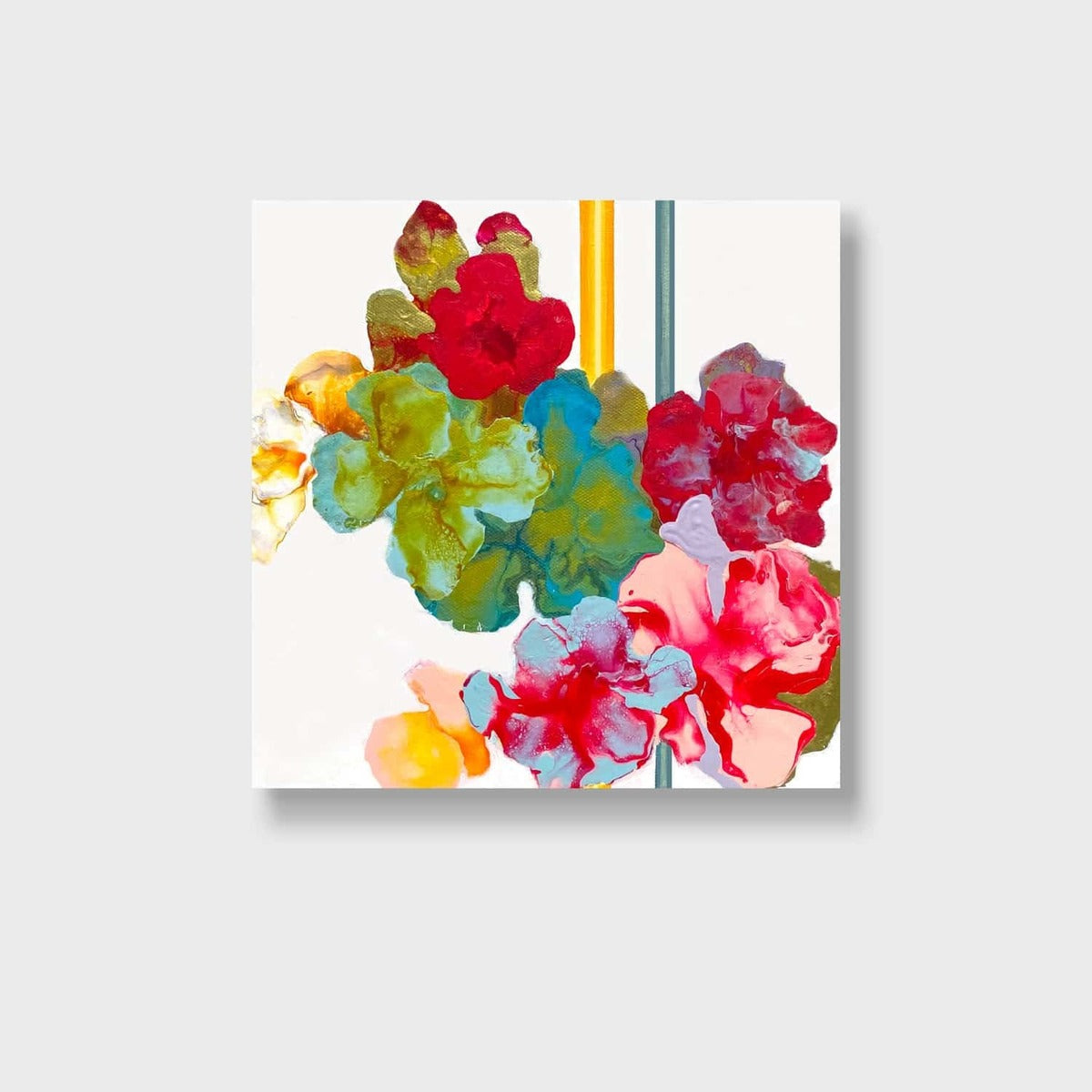 Polyethylene Begonias