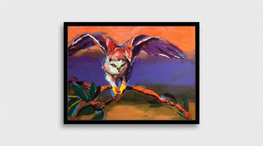 Lift Off-White Tailed Kite