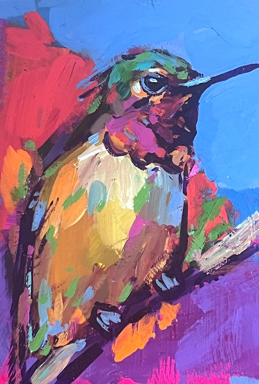 Anna's Hummingbird 1