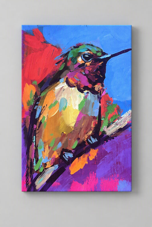 Anna's Hummingbird 1