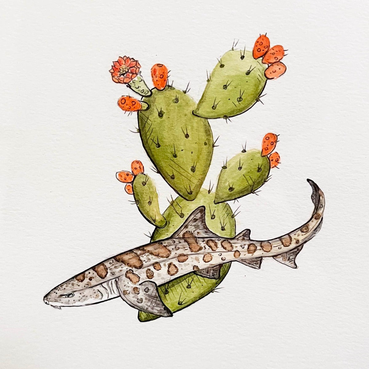 Prickly Pear Swims