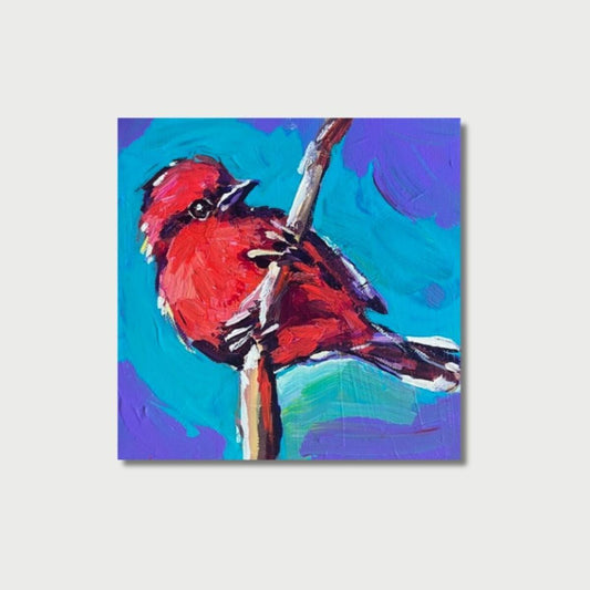 Flycatcher