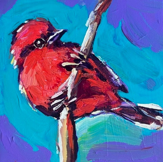 Flycatcher