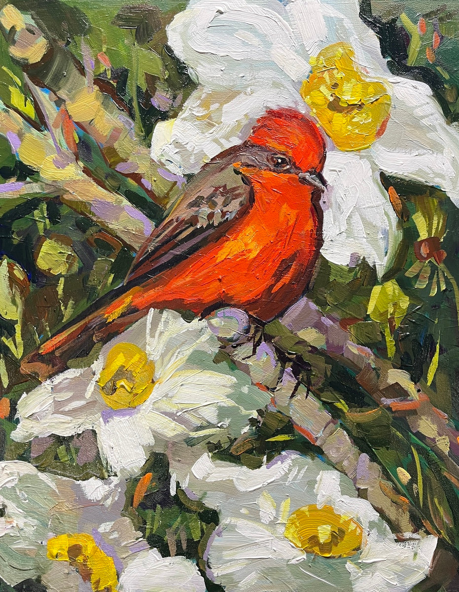 Vermilion Flycatcher