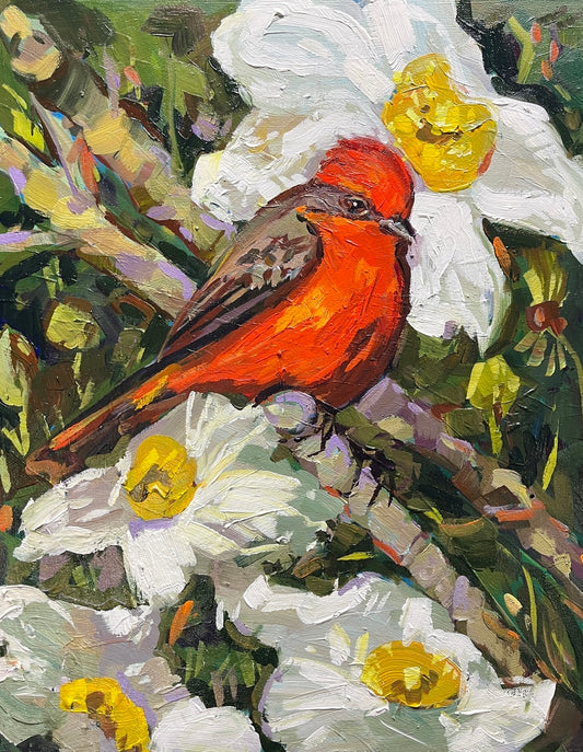 Vermilion Flycatcher