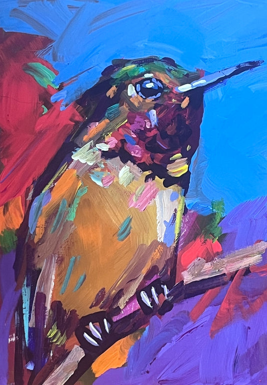 Anna's Hummingbird 2