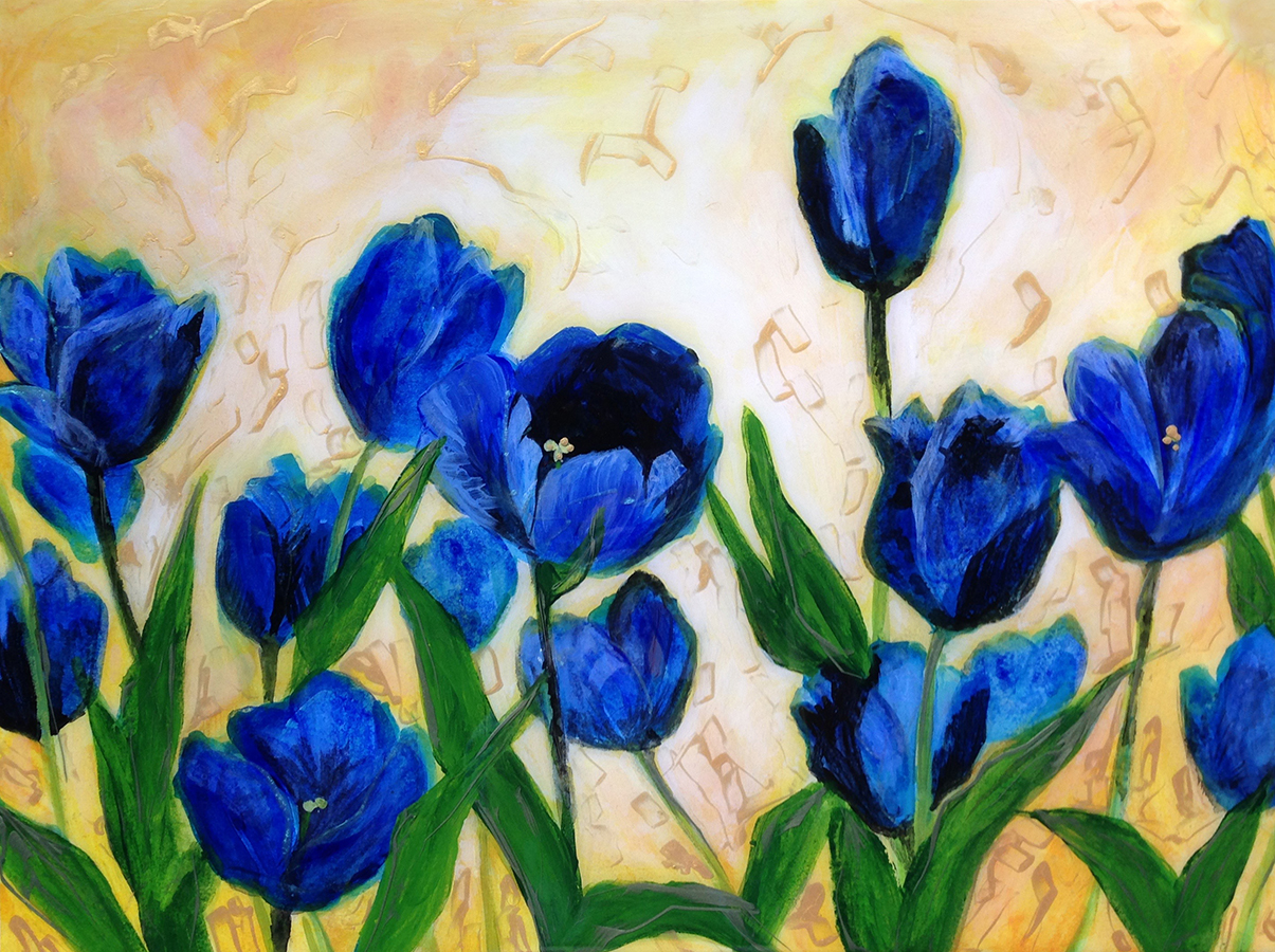 blue tulips hd