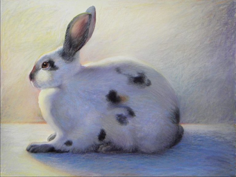 Ken Goldman - Rabbit